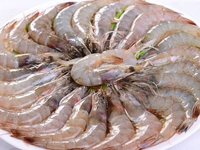 招募冷冻水产品供应商图2