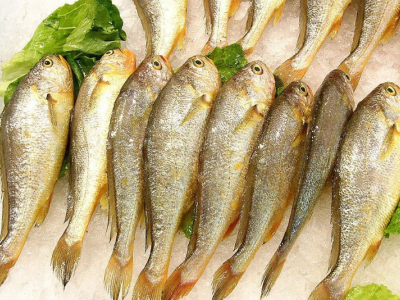 招募冷冻水产品供应商图4