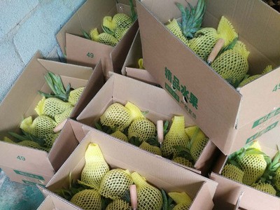 8斤 泰国品种香水小菠萝 热带水果一件代发 播图3