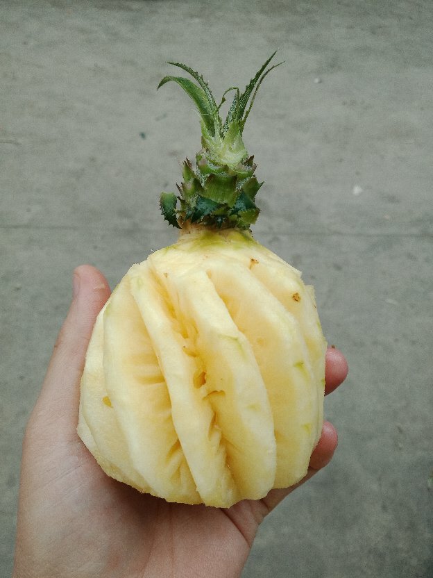 feed_image1525851040711