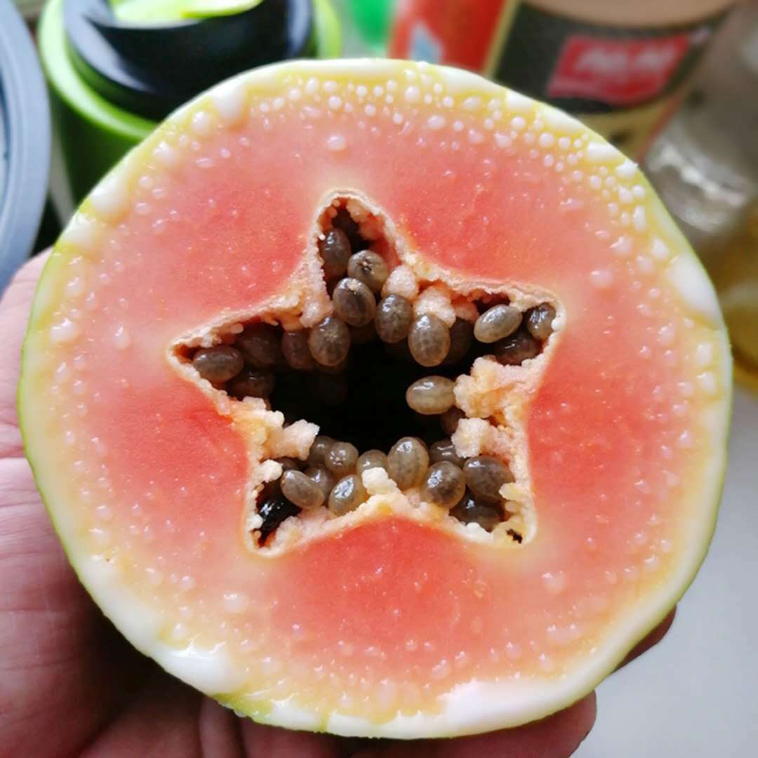 微信图片_20180627115225.jpg