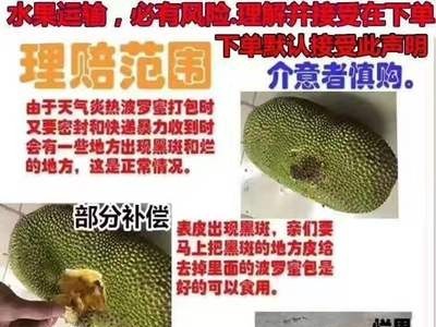 海南干苞黄肉菠萝蜜 现摘热带水果青皮贵妃一件代发图5