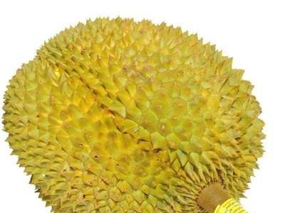 泰.国. 金枕榴莲 巴掌榴莲图4