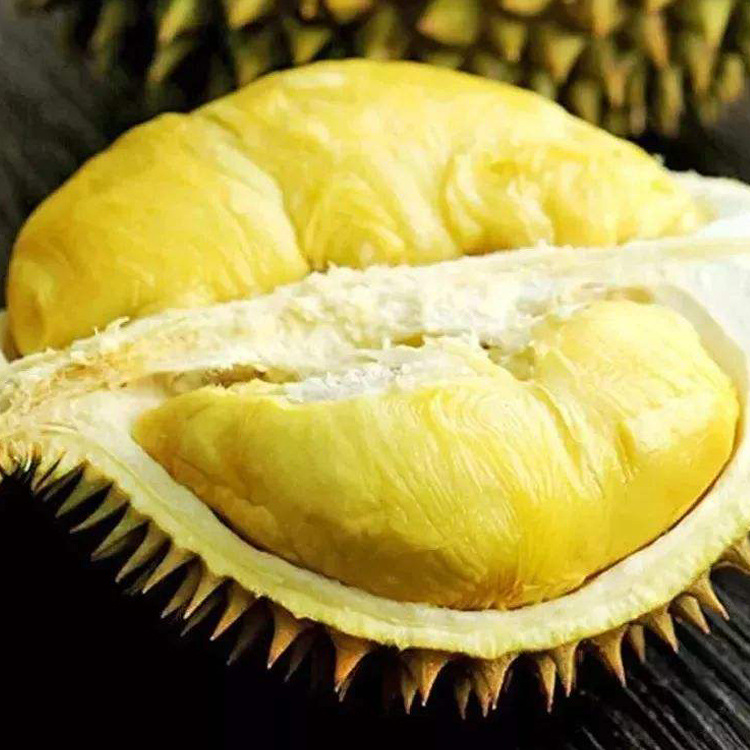 金枕榴莲主图