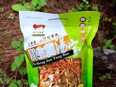 厂家供应 云南食用菌 山里香40g 云南特产 食用菌汤宝 牛肝菌图2