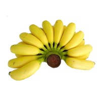 福建漳州双蕉组合红香蕉+苹果蕉新鲜水果现摘5斤装现货厂家批发
