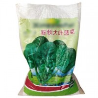 散装大叶菠菜种子 500g春秋大叶菠菜籽 四季播种圆叶菠菜菜园种子