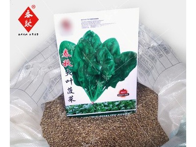 散装大叶菠菜种子 500g春秋大叶菠菜籽 四季播种圆叶菠菜菜园种子图5