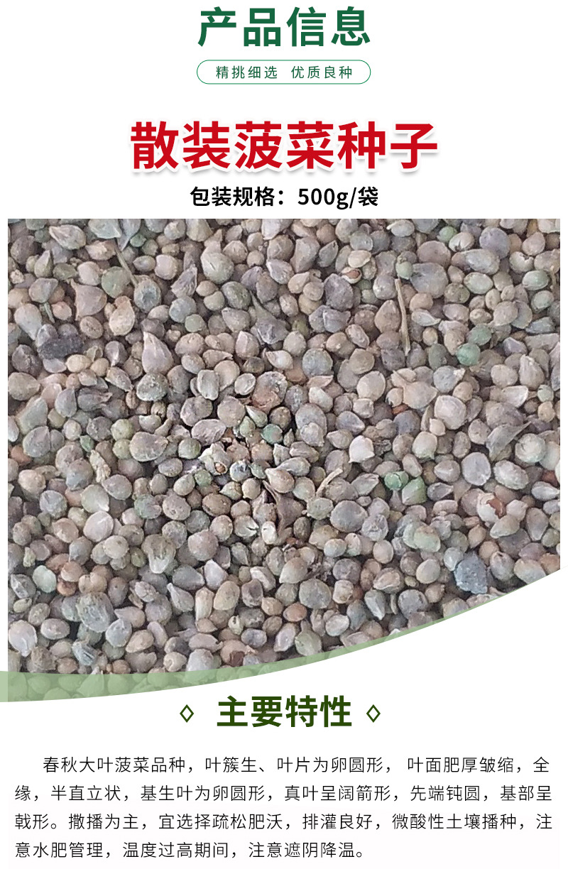 春秋大叶菠菜---详情页-800_05.jpg