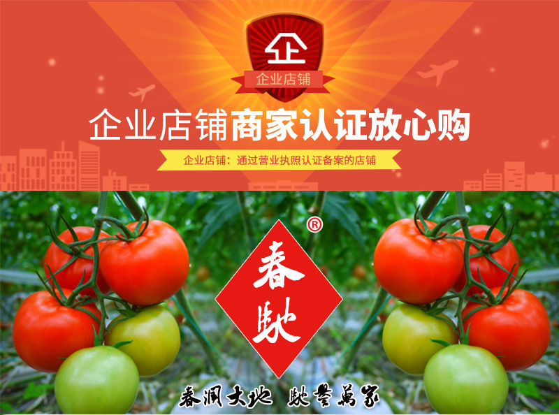 春秋大叶菠菜---详情页-800_01.jpg