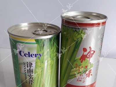 威尔种子批发 文图拉西芹种子 津南实芹 亚力士芹菜种子 基地用种图4