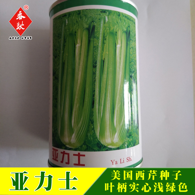 亚力士---1