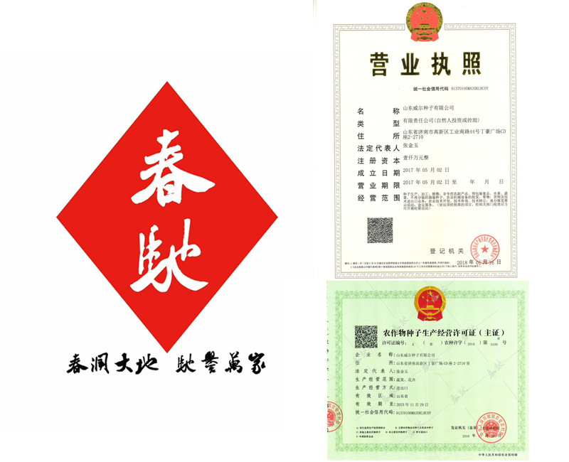 阿里巴巴详情页1
