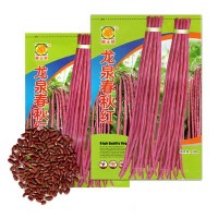 龙泉春秋红豆角种子 100g 紫红架豆 红豇豆种籽 菜园基地蔬菜种籽