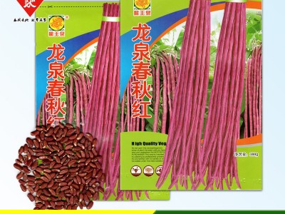 龙泉春秋红豆角种子 100g 紫红架豆 红豇豆种籽 菜园基地蔬菜种籽图2
