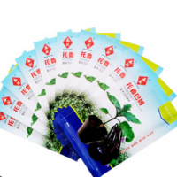 批发嫁接茄子砧木种子 托鲁巴姆 5g 野生茄子砧木种籽 耐病野茄子