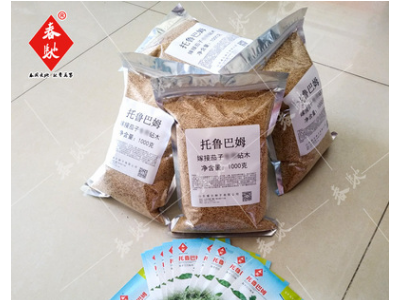批发嫁接茄子砧木种子 托鲁巴姆 5g 野生茄子砧木种籽 耐病野茄子图5