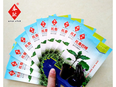 批发嫁接茄子砧木种子 托鲁巴姆 5g 野生茄子砧木种籽 耐病野茄子图2