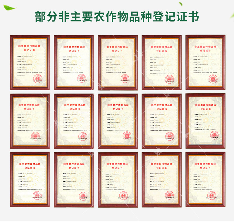 托鲁巴姆5g详情页-800_03.jpg