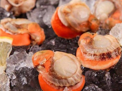 新鲜大扇贝肉冷冻海产品贝类 单冻扇贝肉冷冻食品图5