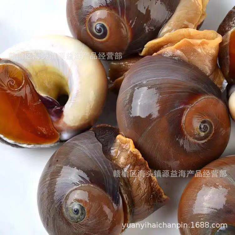 455058427901468014