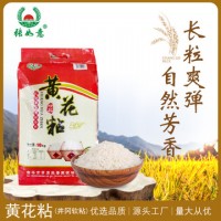 黄花粘(井冈软粘)10公斤袋装长粒大米籼米软糯香米籼米源头厂家