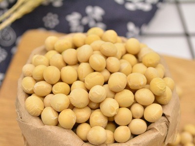 黄豆陕北豆浆黄豆制作豆腐豆浆圆黄豆陕北黄豆真空包装400g图2