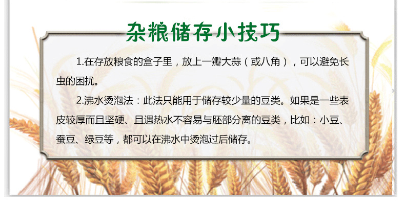 陕北杂粮为何如此出众_04