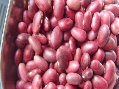 供应金时豆、日本红芸豆（价格面议）图5