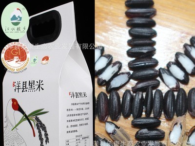 厂家批发 洋县黑籼糯米图4
