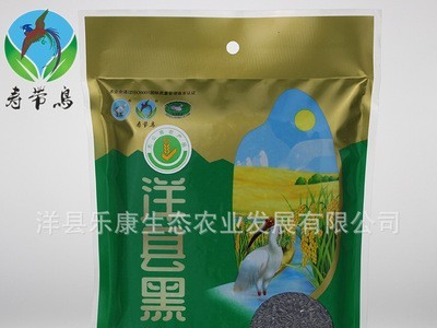 厂家批发 洋县黑籼糯米图3