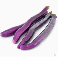 台湾农友 日昇长茄种子子 日升线茄子紫黑 紫色茄子种子 早熟