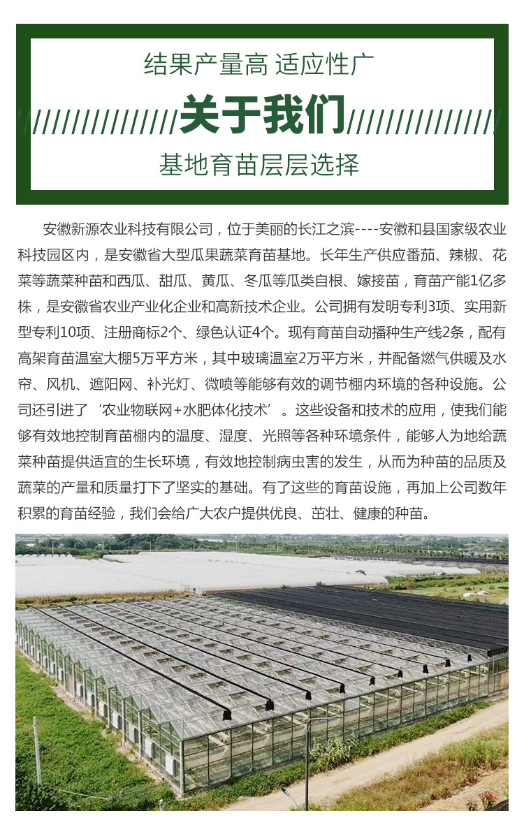 瓜苗改_10