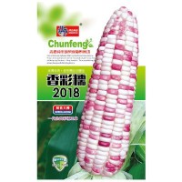 韩育香彩糯2018玉米种子 农田菜地丰产抗倒伏甜糯玉米籽原厂包装