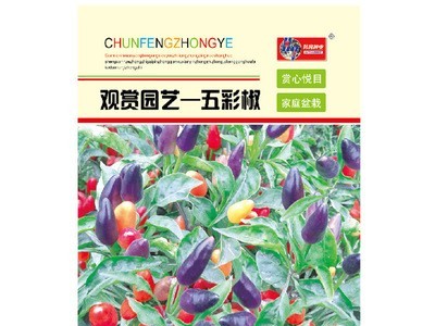 观赏园艺五彩椒种子 农田菜地丰产多色小辣椒籽原厂袋装易种植图3