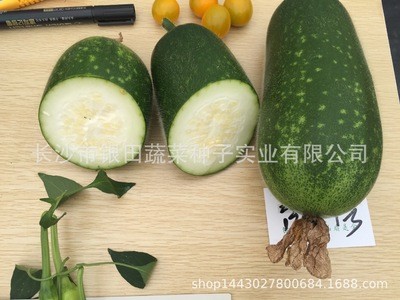 小粉冬瓜高产绿皮绿肉火锅配菜可以生吃厂家直销银田种业图3