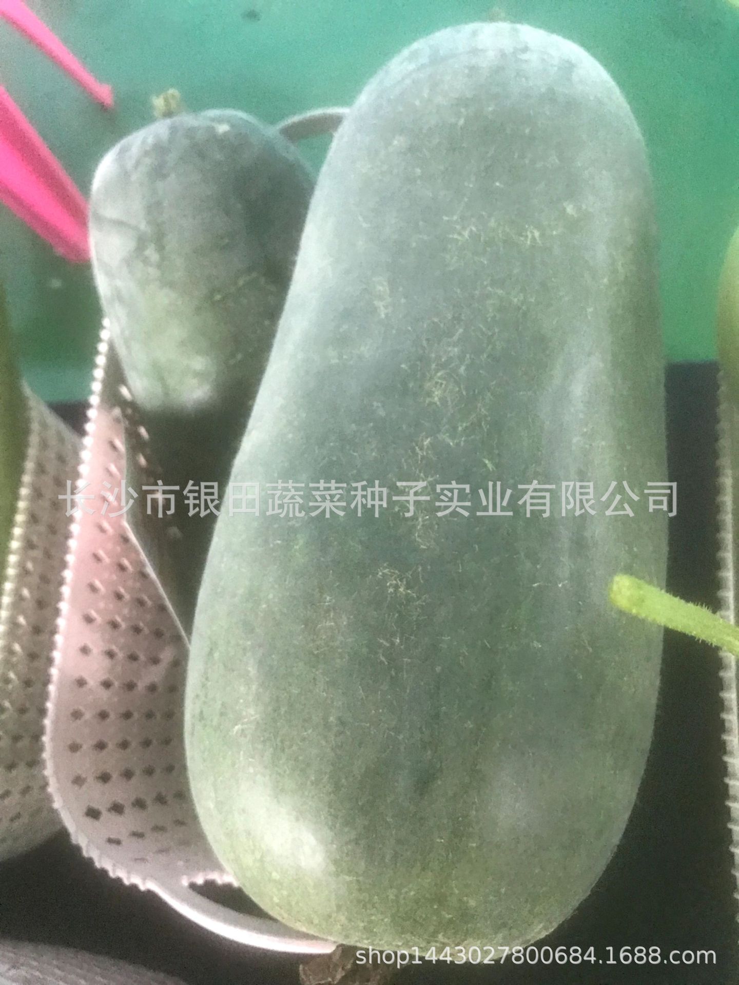 微信图片_20200328161538