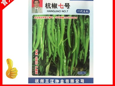 杭椒七号辣椒种子 早熟薄皮杭椒种子 蔬菜种子批发 厂家直销10g图5