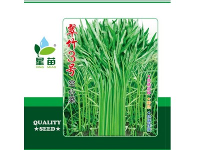 现货批发翠竹3号空心菜种子 叶片细长500克蔬菜种子基地农户选择图5
