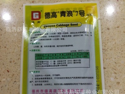 速生快菜小白菜种子 青浪7号 优质蔬菜种子 快菜种子图5