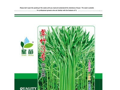 速生快菜小白菜种子 青浪7号 优质蔬菜种子 快菜种子图4