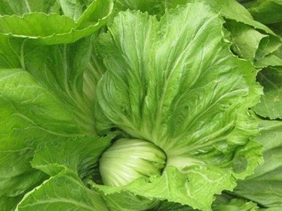 贵州新鲜青菜 叶软肉厚 绿叶青菜 营养美味 整箱批发 货源充足图2