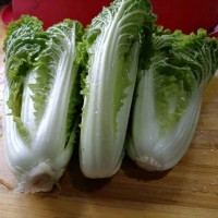 新鲜小白菜 农家新鲜采摘蔬菜 新鲜脆嫩现在现卖