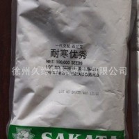 专业代理日本坂田优质高档进口西兰花种子-炎秀，耐寒优秀等