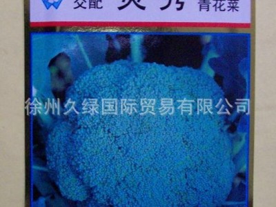 专业代理日本坂田优质高档进口西兰花种子-炎秀，耐寒优秀等图5