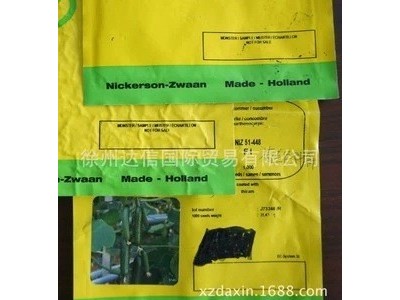 以色列海泽拉HAZERA原装进口高品质高产全雌水果黄瓜种子斯托克等图4