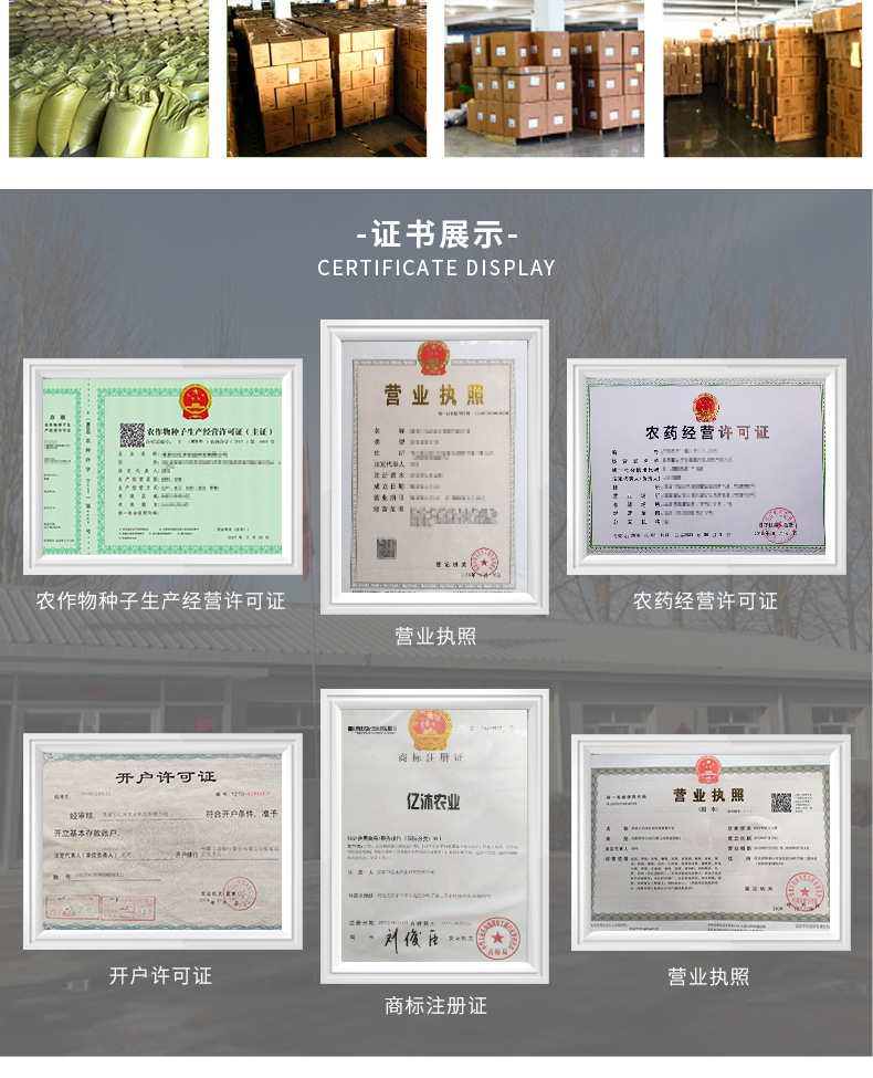 种子-详情9_04.jpg