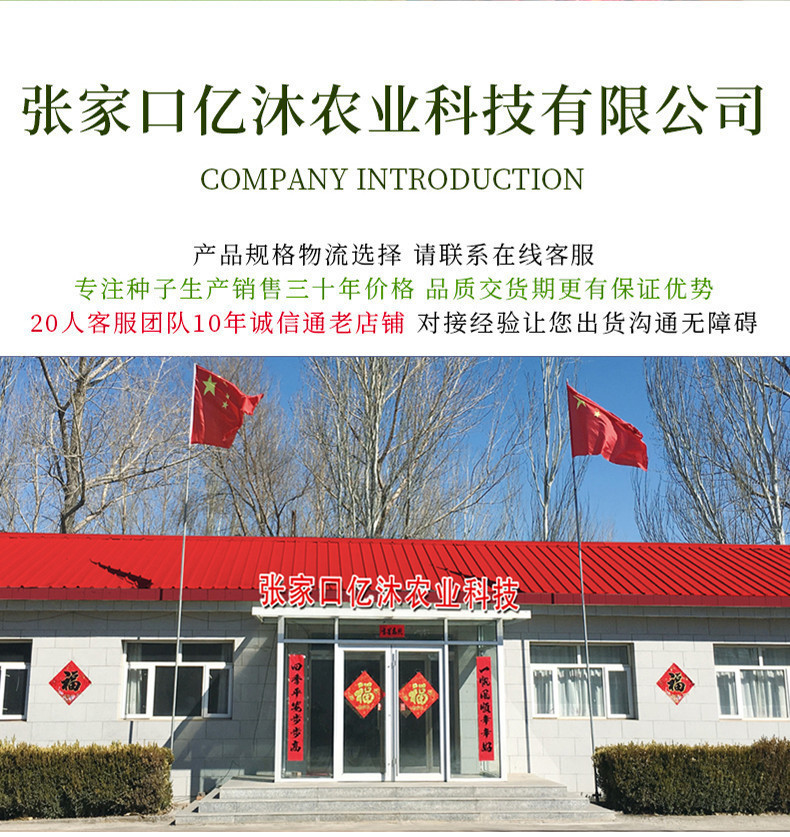 14030238738_857978166_副本