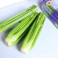 加工保鲜西芹10公斤塑料筐装10公斤纸箱装西芹