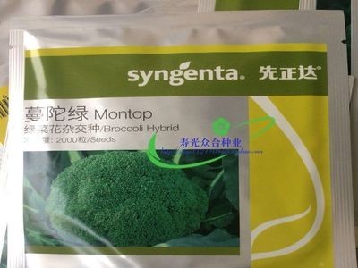 蔬菜种子 先正达 蔓陀绿 西兰花种子 耐抽薹 中早熟品种 10g图2